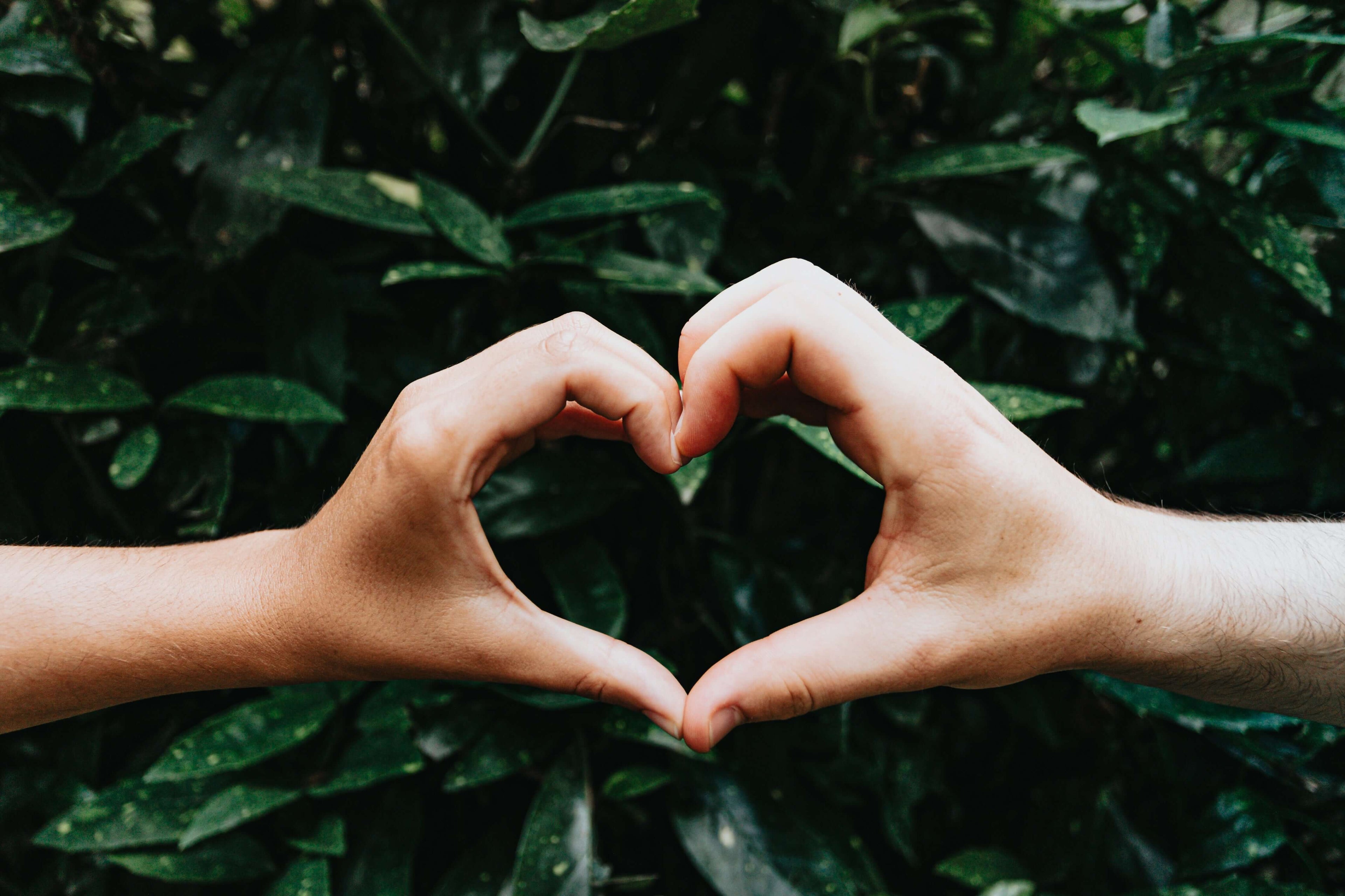 heart hands in front of leaves